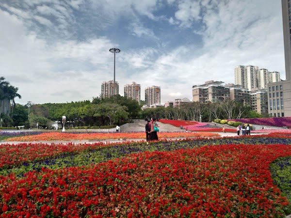 Shenzhen International Garden and Flower Expo Park 2