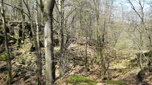 Klåveröds strövområde