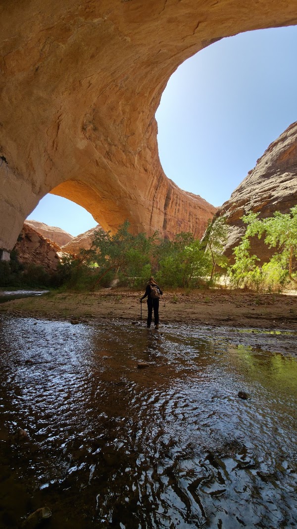 Coyote Gulch 5