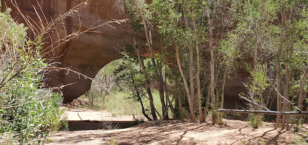 Coyote Gulch 2