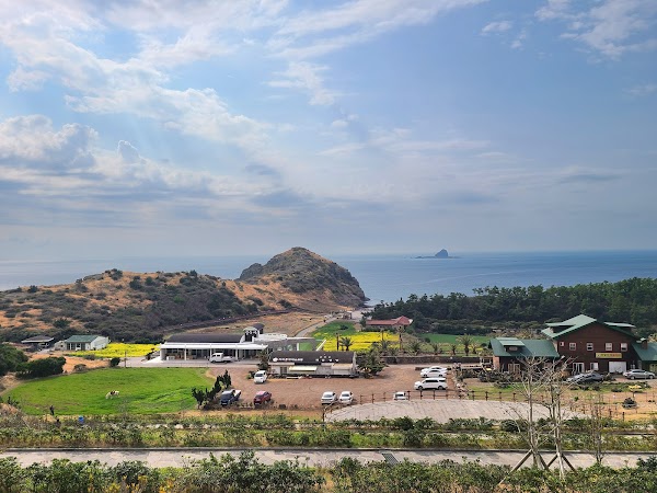 Sanbangsan Canola Field 4