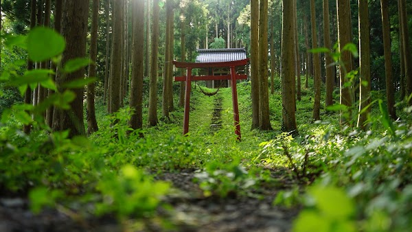 小野曽神社 2