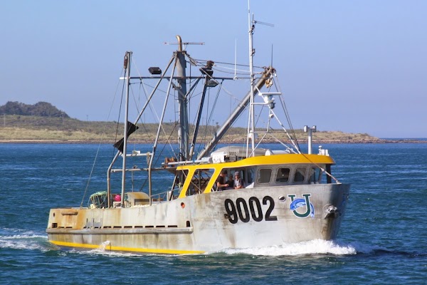 Barnes Wild Bluff Oysters 5