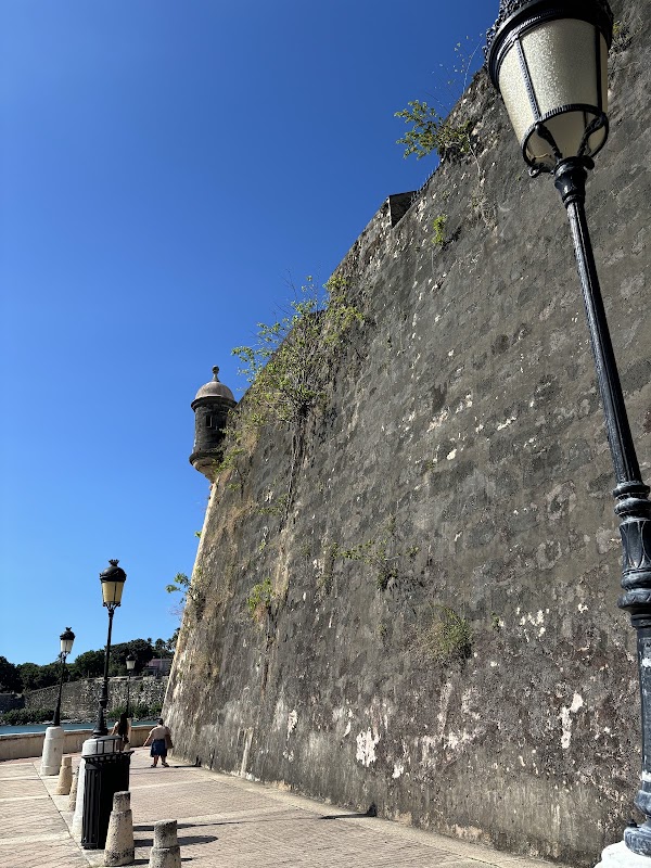 Fuente Raíces 5