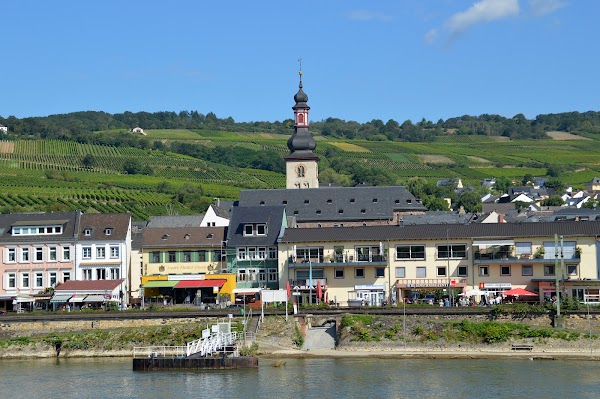 Rüdesheim (Rhein)
