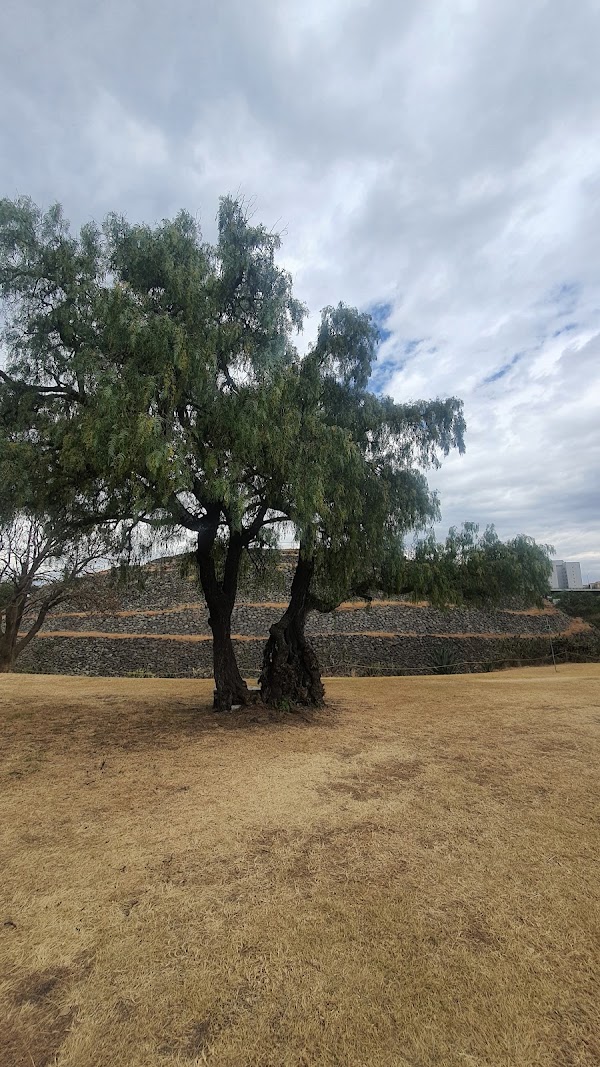 Cuicuilco Pyramid 2