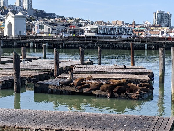 PIER 39 3