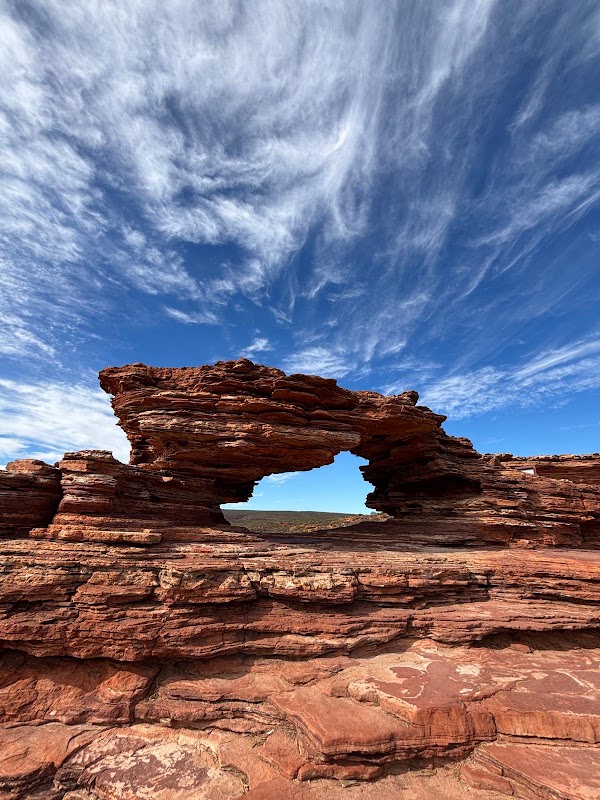 Nature's Window
