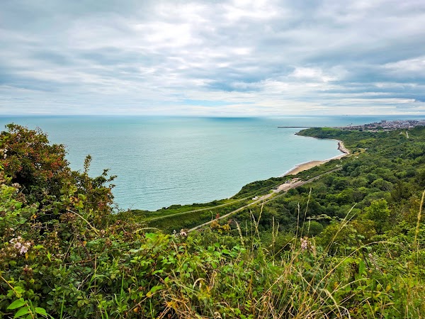 Folkestone Warren Nature Reserve 1