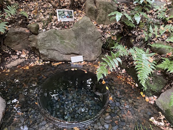 Kiyomasa's Well