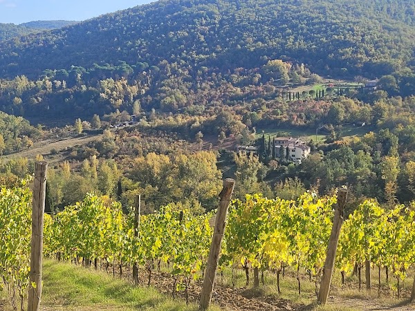 CHIANTI WINE TOUR 3