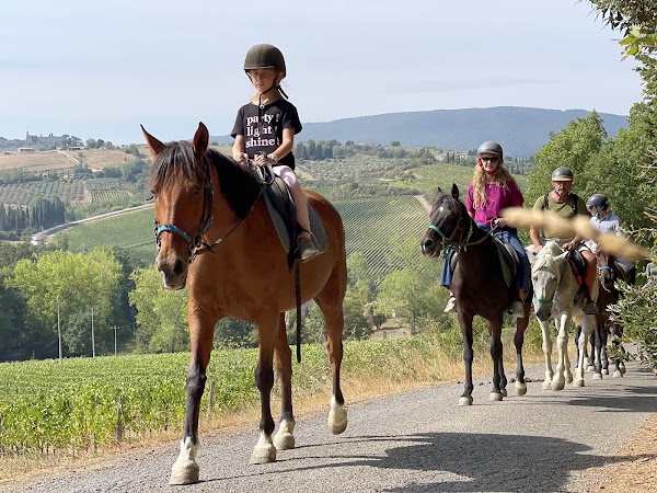 CHIANTI WINE TOUR 2