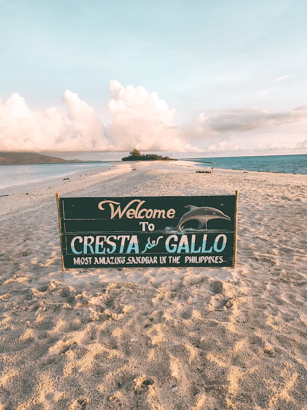 Cresta de Gallo 4