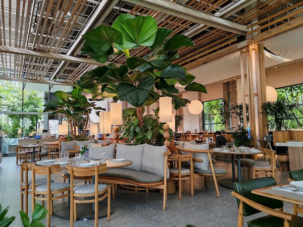 Botanica+Co at Bamboo Hills