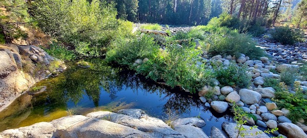Wawona 5