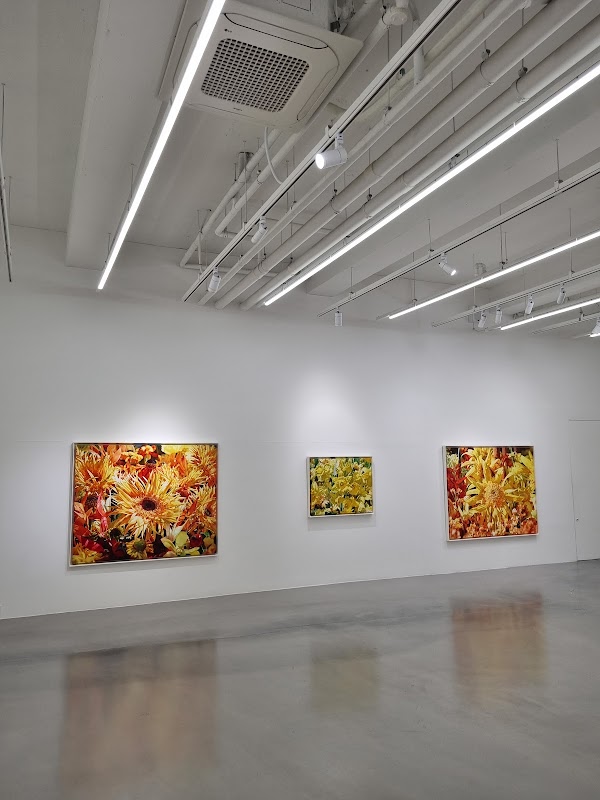 Park Ryu Sook Gallery 5