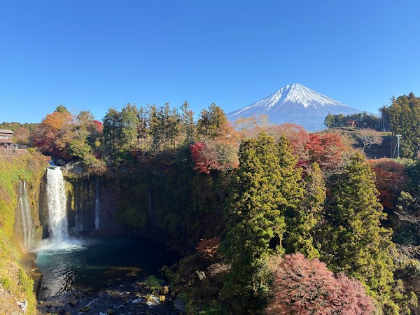 Otodome Fall Observatory 5