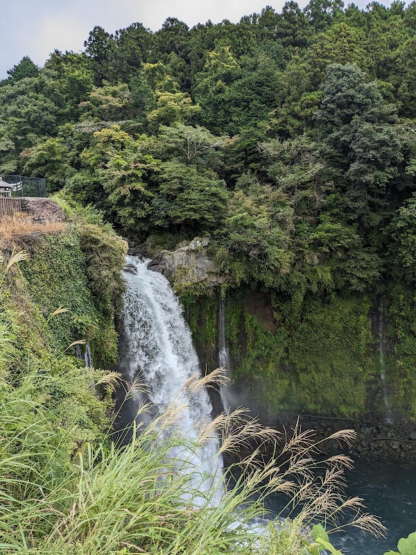 Otodome Fall Observatory 4