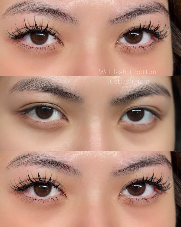 Just Lash Ho Chi Minh ( The Original Eyelash Extension & Brow Lamination ) 3