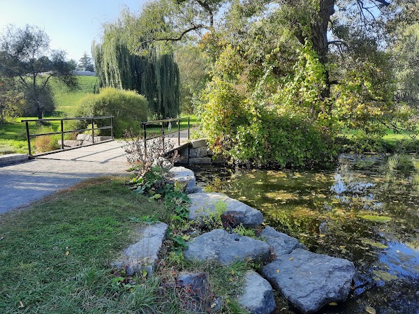 Heart Bridge
