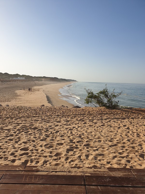 Seagull Beach