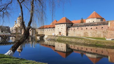 Cetatea Făgărașului