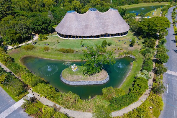 Kura Kura Bali