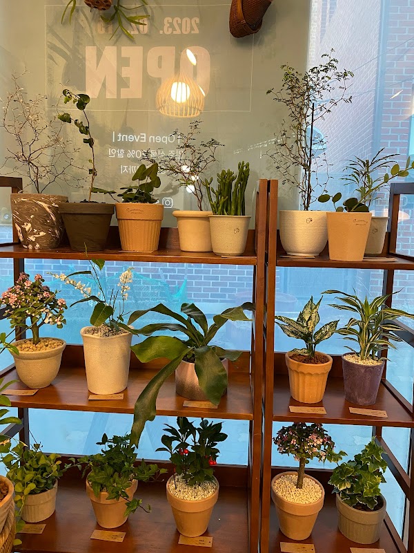 소일식물점 Soilplant 1