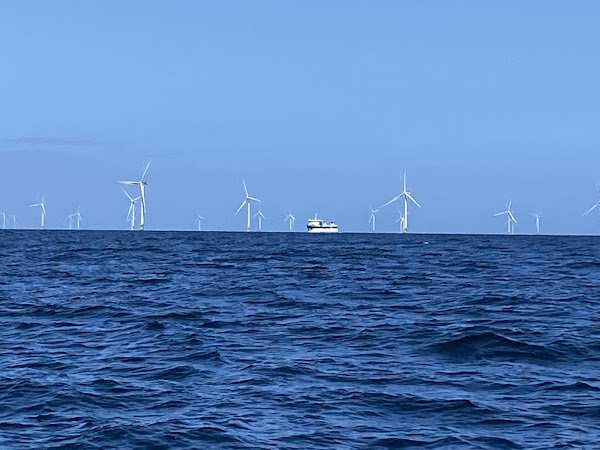 Anholt 1