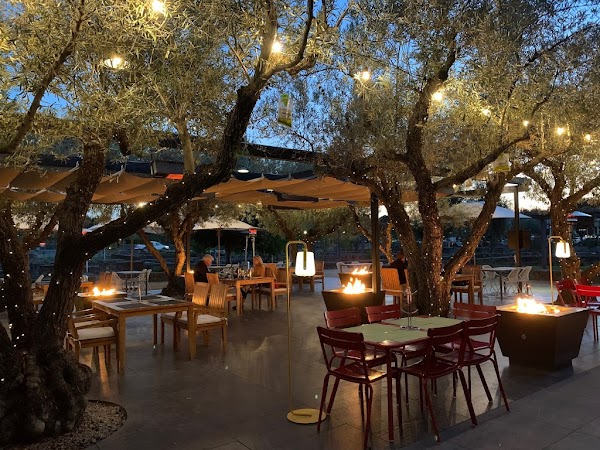 The Grove at Copia 1