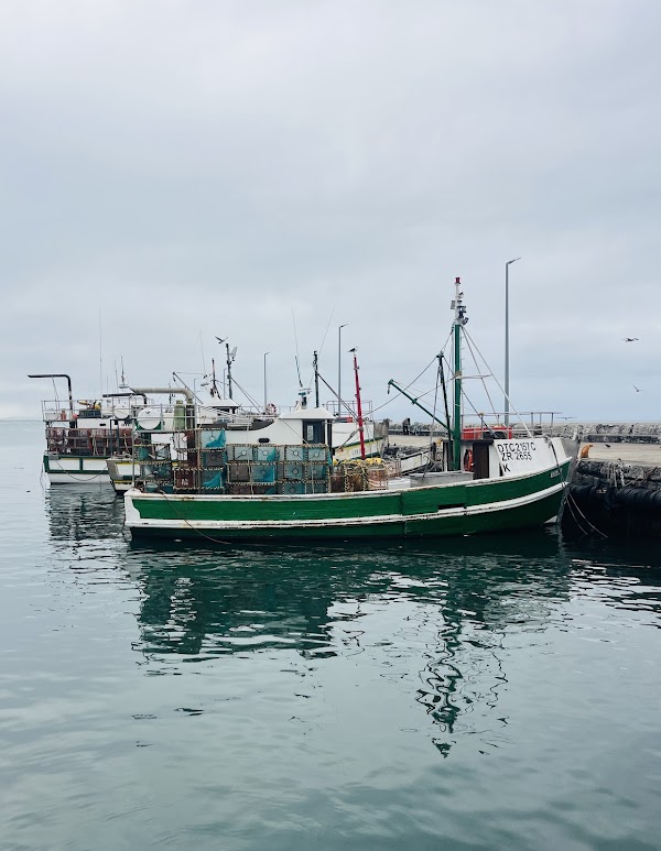 Harbour House Kalk Bay 4