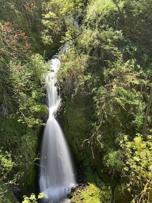 Shepperd's Dell Falls