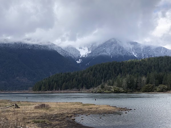 Pitt Lake 5