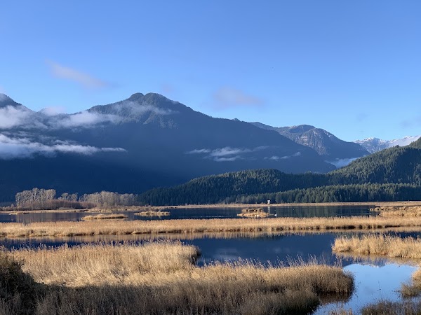 Pitt Lake 4