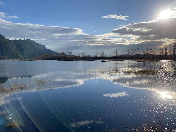Pitt Lake 2