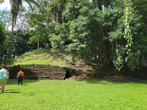 Nim Li Punit Archaeological Reserve 3