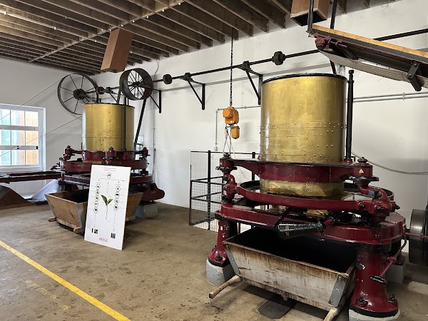 Gorreana Tea Factory 4