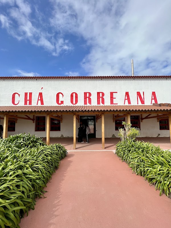 Gorreana Tea Factory 3
