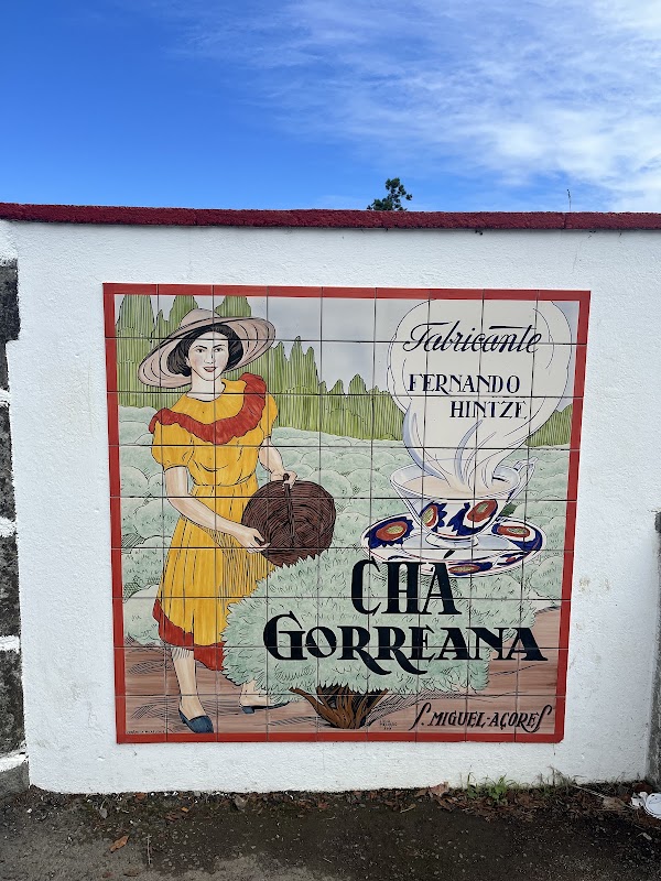 Gorreana Tea Factory 2