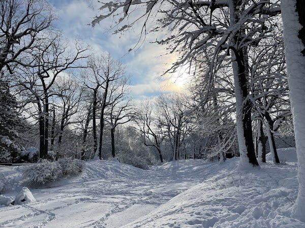 Parc Westmount 3