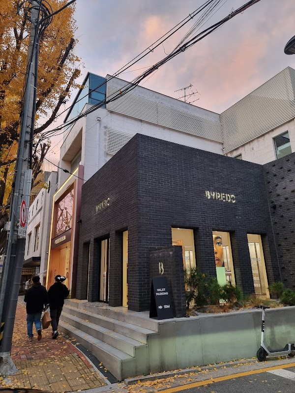 바이레도 도산로점