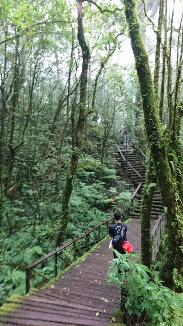 Ang Ka Nature Trail 5