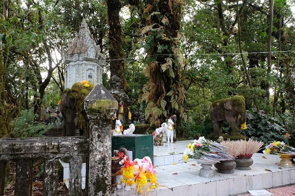 Ang Ka Nature Trail 3