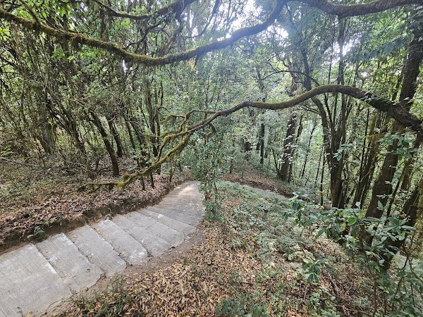 Ang Ka Nature Trail 2