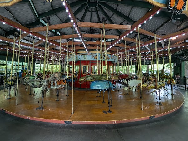 Bug Carousel