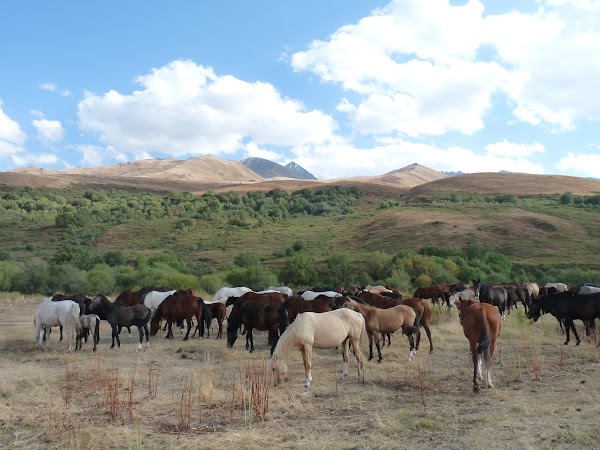 Suusamyr Valley 2