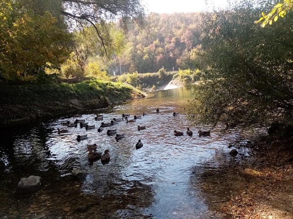 Lištica 2