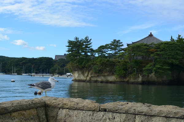 Matsushima 4