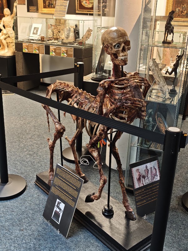 Geneeskundemuseum 4