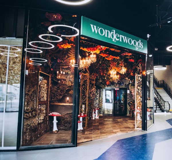 Wonderwoods by Ephemera - Val d'Europe 1